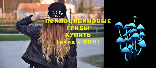 соль ск Балахна
