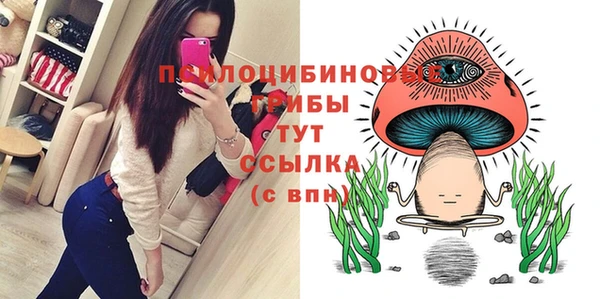 соль ск Балахна