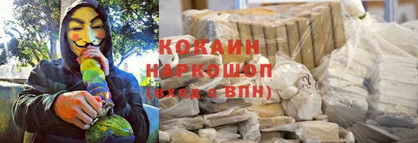 ПСИЛОЦИБИНОВЫЕ ГРИБЫ Каменка