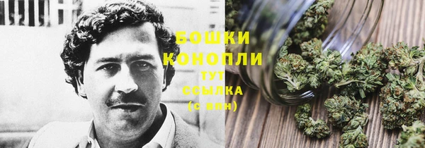 соль ск Балахна