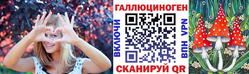 Псилоцибиновые грибы Psilocybine cubensis  Заречный 
