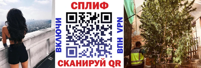 Бошки марихуана MAZAR  Заречный 